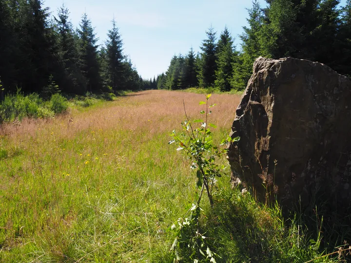 Signal de Botrange (Belgium)